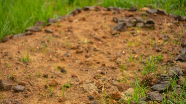 where is the police (1)